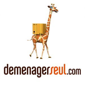 demenager-seul