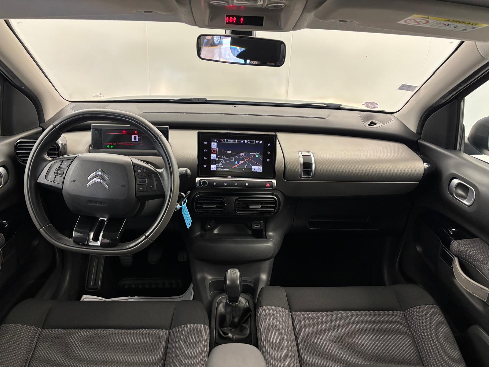 C4 CACTUS 110CH SHINE