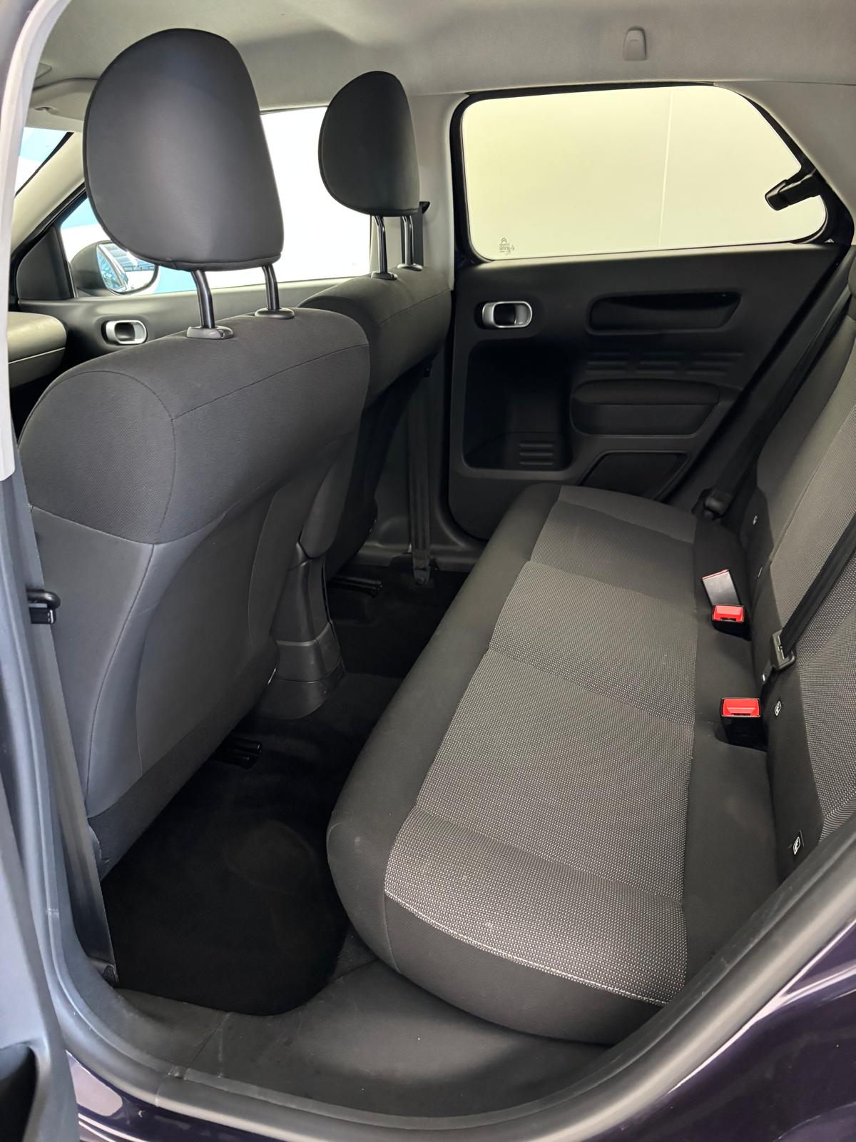 C4 CACTUS 110CH SHINE